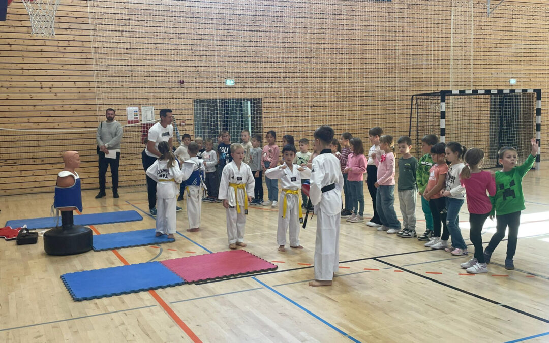 Projekt Svi na sport