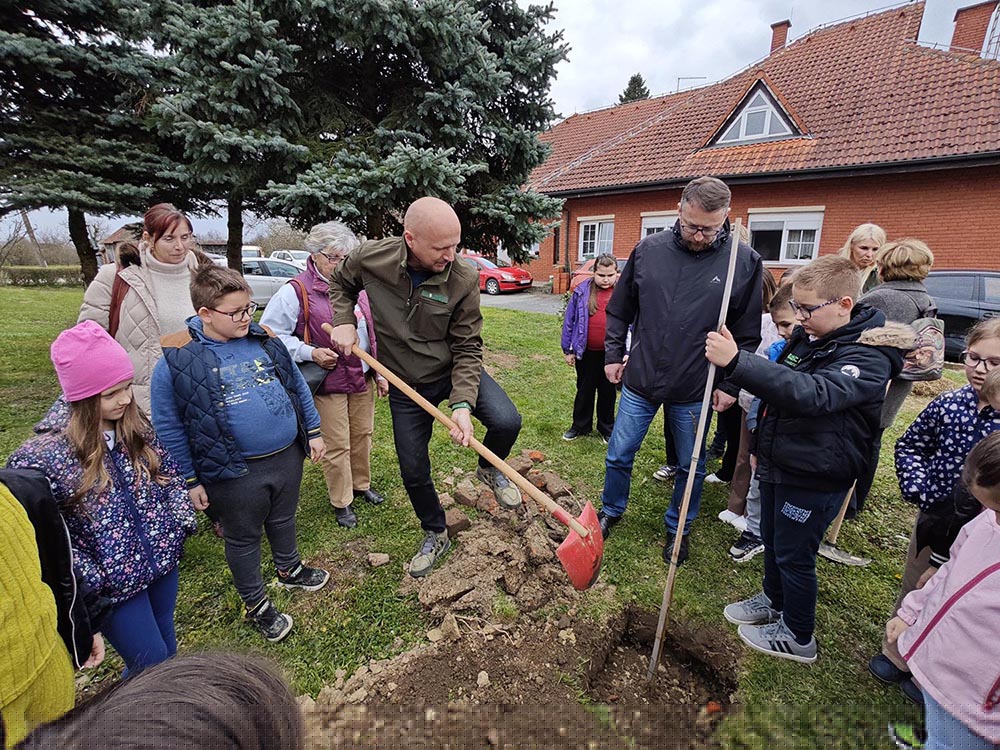 Sadnja stabala u PŠ Veliki Raven